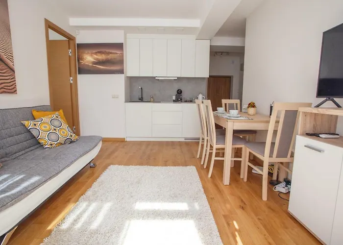 Vytauto 801 Apartment Palanga